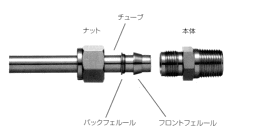 XeX_utF[p